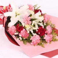 The Root & Green Leaves