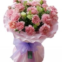 19 Pink Carnations